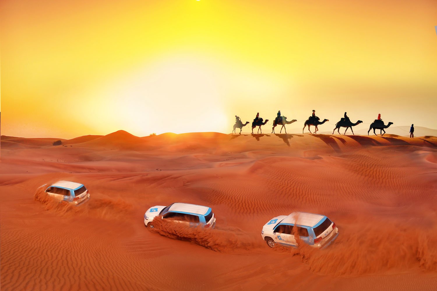 Morning desert safari Dubai